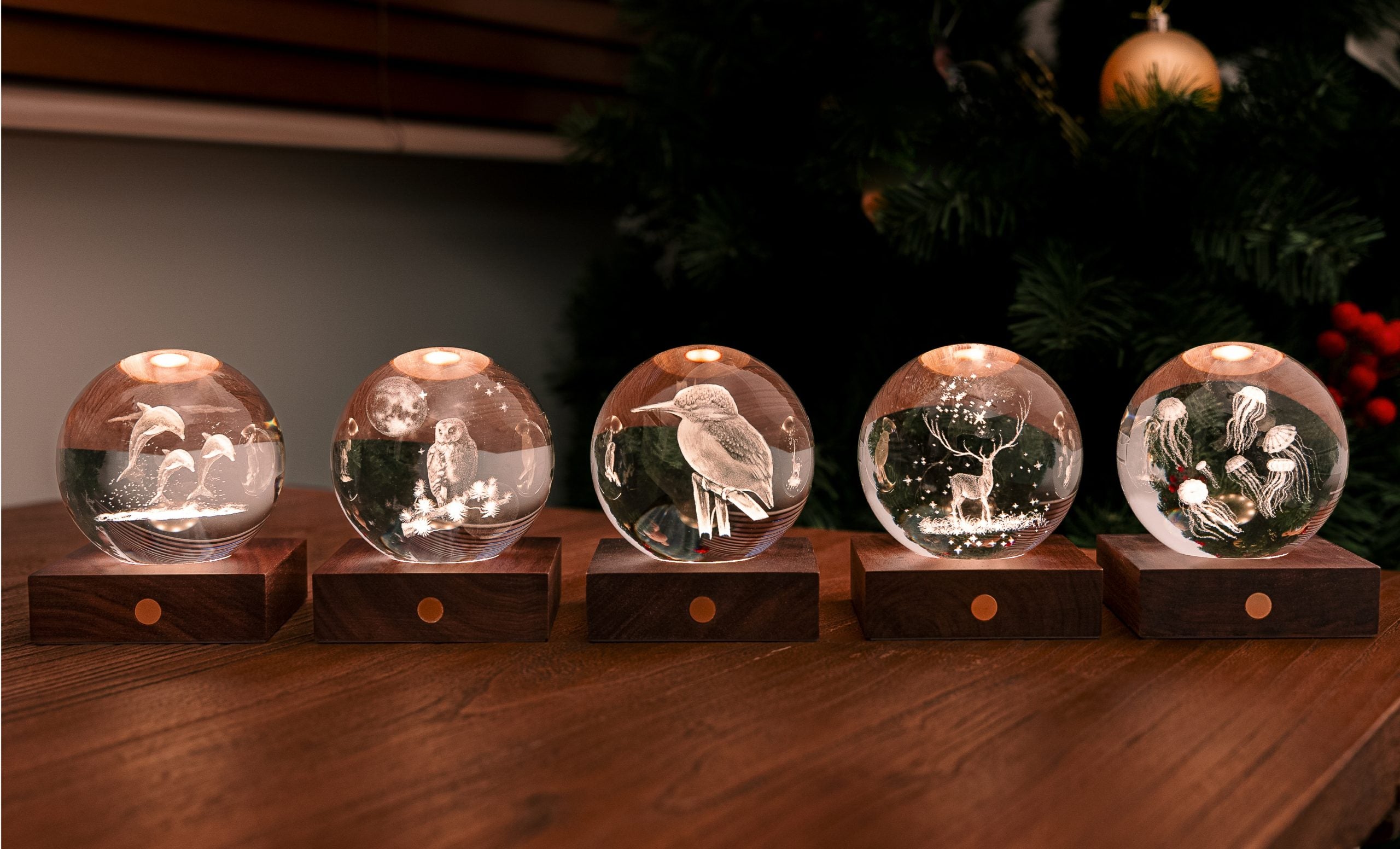 Amber Crystal Light - The Owl Moon